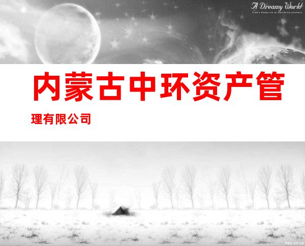 内蒙古中环资产管理有限公司